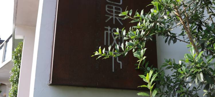 安吉白果树下休闲度假精品民宿(龙王山漂流店)图片