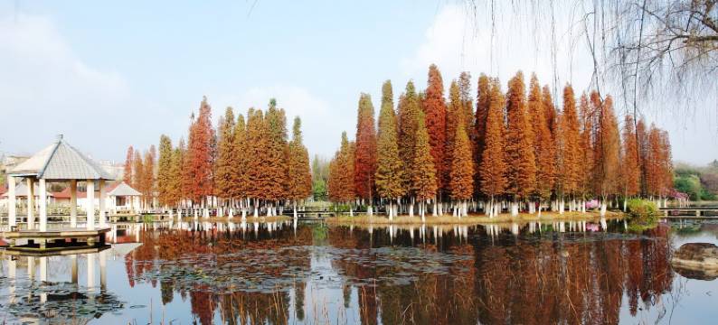 玉溪映月潭温泉酒店图片