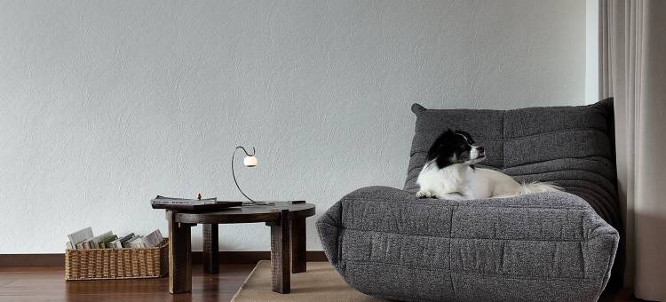 晓山青民宿图片