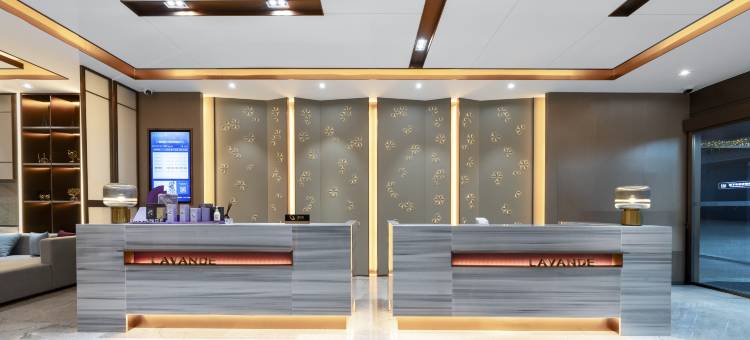 麗枫酒店(毕节市政府沃尔玛店)图片