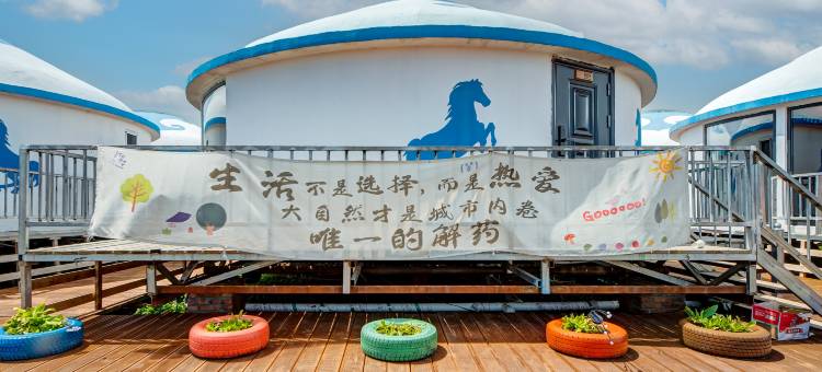 额尔古纳黑山头田园牧歌民宿图片