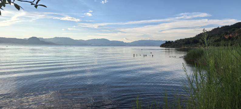 抚仙湖亲致客栈图片