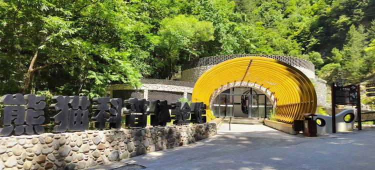 佛坪熊猫森林酒店图片