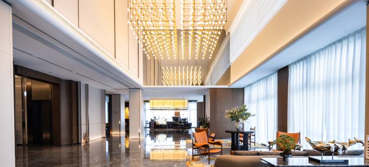 南京南站百家湖逸扉酒店图片