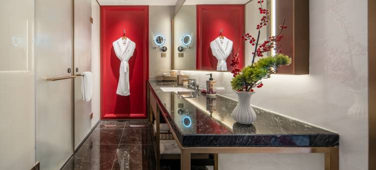 成都雅高瑞享酒店图片