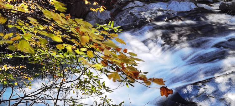 巴中江北宾馆图片