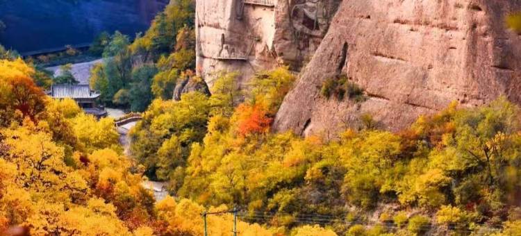 晨枫·智选｜SEADESIGNER·VIEW 零压智能设计师酒店(武山店)图片