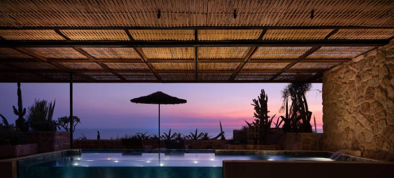 方岛丨巨鲸图片