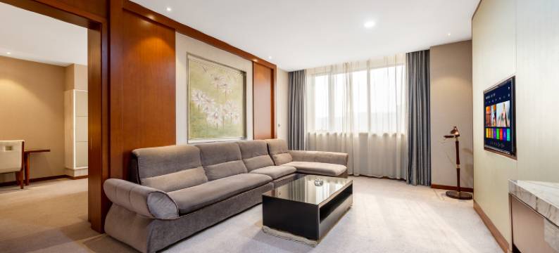 常州银河国际酒店(金坛新天地广场店)图片