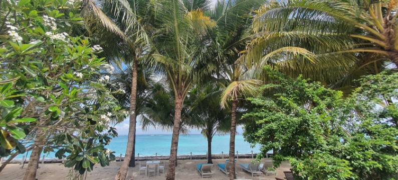 迈阿莫海滩小屋(MYAMO BEACH LODGE)图片