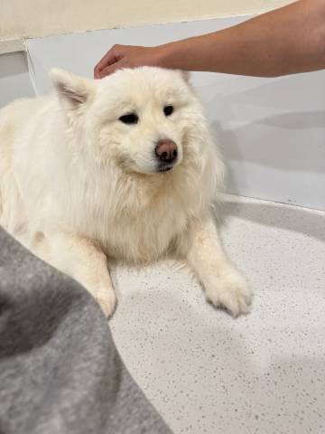 隐舍别院(玉溪高铁站红塔大道店)图片