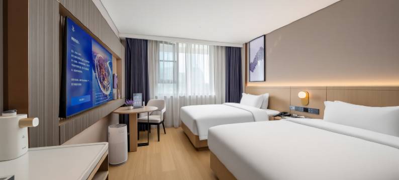 麗枫酒店(乐山张公桥美食街店)图片