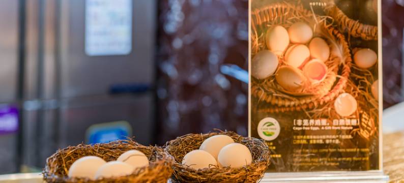 北京安贞奥体中心美居酒店图片