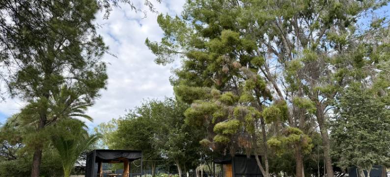 梦之林酒店(Droombos)图片