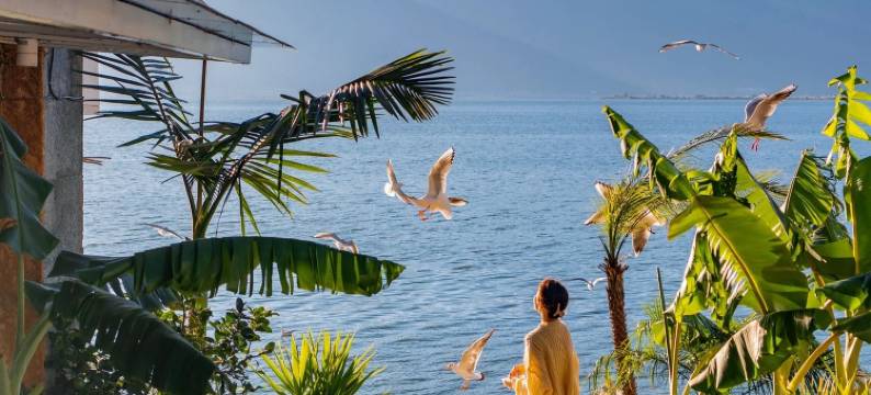 大理玉鹿庭·宁芙海宿图片