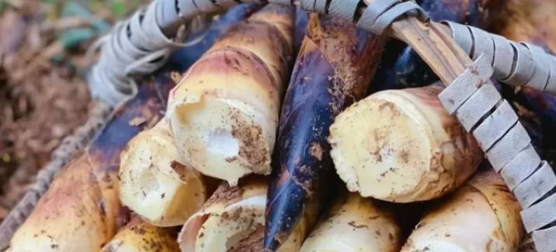 安吉茶韵·茶坞溪畔秋千溯溪泳池亲子度假美宿图片