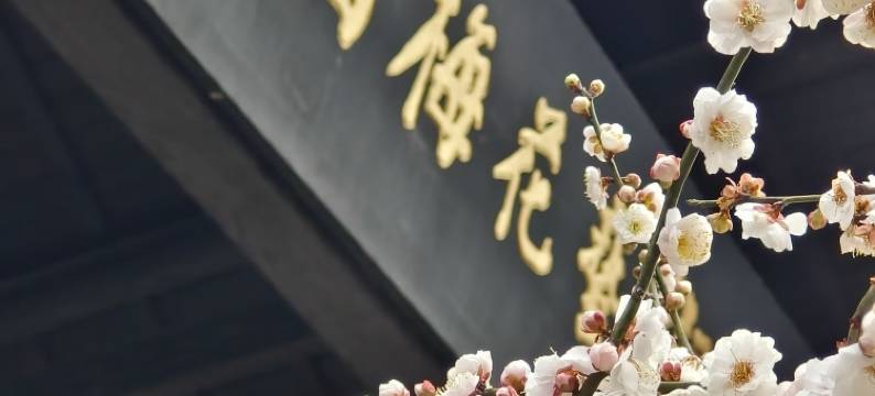 南京仙林中心金鹰广场亚朵酒店图片