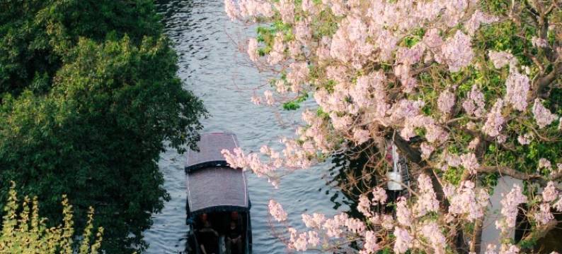 梧桐香榭酒店(湖州南浔古镇景区店)图片