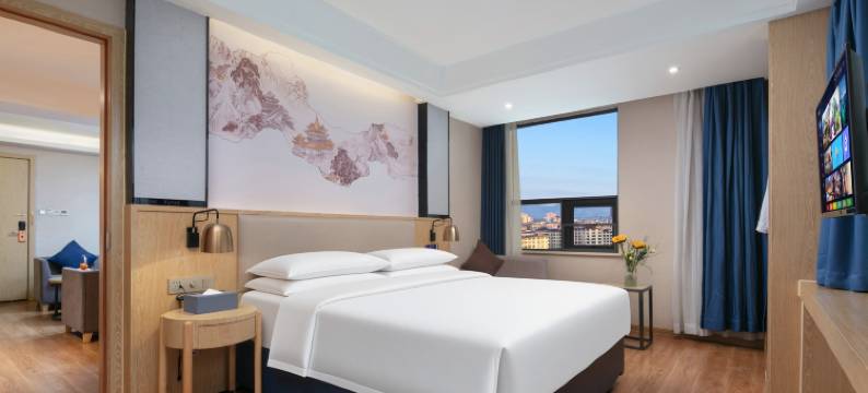 嘉百年酒店(耒阳市委发明家广场店)图片