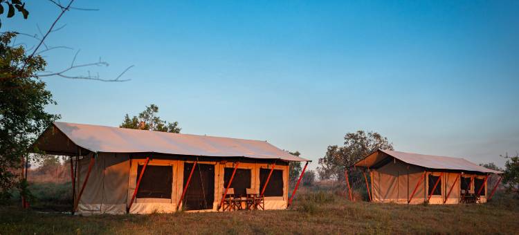 葛努玛拉河营地酒店(Gnu Mara River Camp)图片