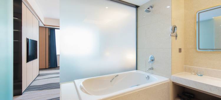 星程酒店(松原大路店)图片