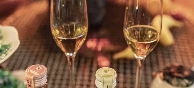 西塘一朝一夕·花园度假设计师民宿(西塘古镇景区店)图片