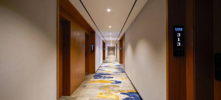 天玥酒店(科学城店)图片