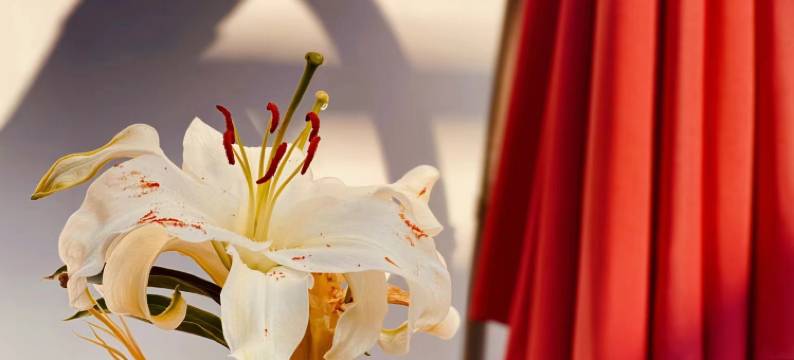 50HZ赫兹酒店(甲秀楼青云市集店)图片