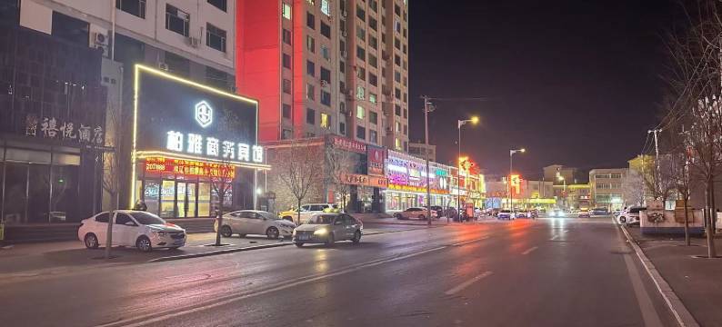 双辽柏雅商务宾馆图片