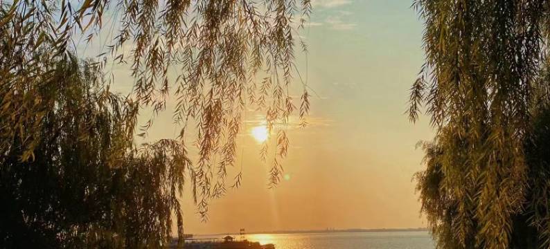 博程假日酒店(岳阳楼区南湖广场店)图片