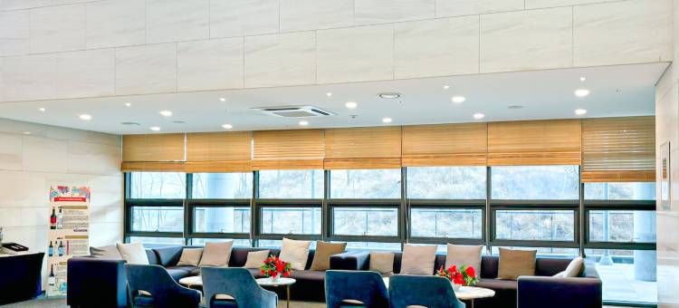 仁川机场永宗岛天空酒店(Airsky Hotel Incheon)图片