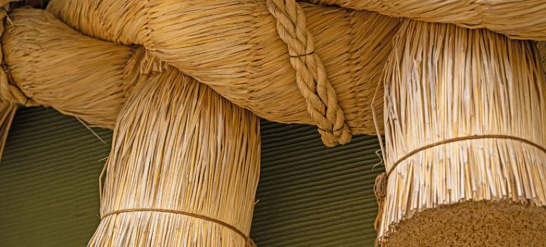 Stay SAKURA 东京 浅草横纲 Hotel(Stay Sakura Tokyo Asakusa Yokozuna Hotel)图片