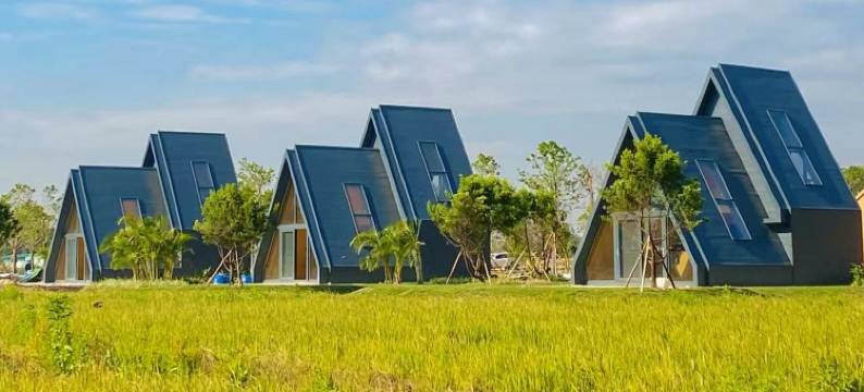 中山悦生自然营地图片