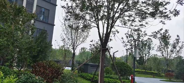 铂乔智能影院公寓(滨州万达广场店)图片