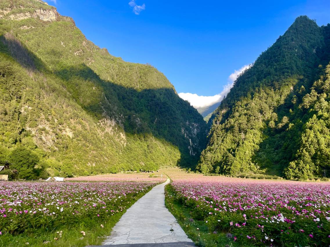 色龙村·隐栖堂世外桃源悬崖酒店图片