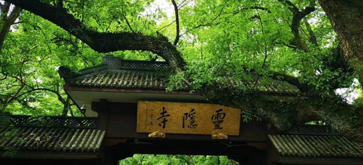 天港禧悦酒店(杭州西湖武林门地铁站店)图片