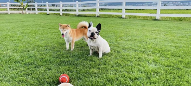 宅寂·食山食野|Free to be wild·设计师度假民宿(龙龛码头店)图片