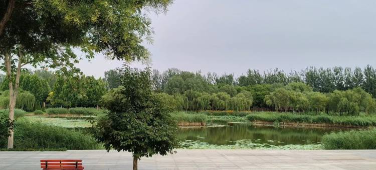 如家驿禾酒店(衡水枣强店)图片