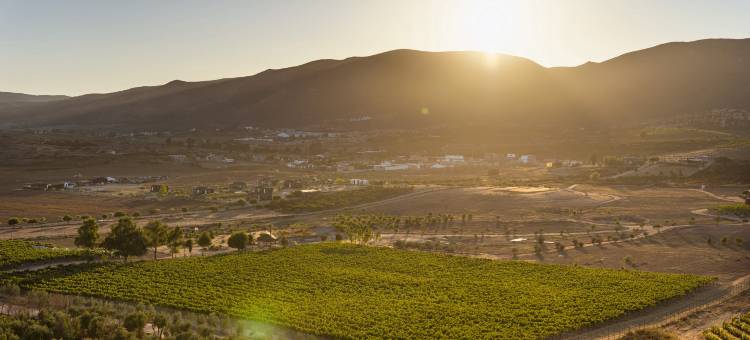瓜达卢佩悦榕维养轩(Banyan Tree Veya, Valle de Guadalupe)图片