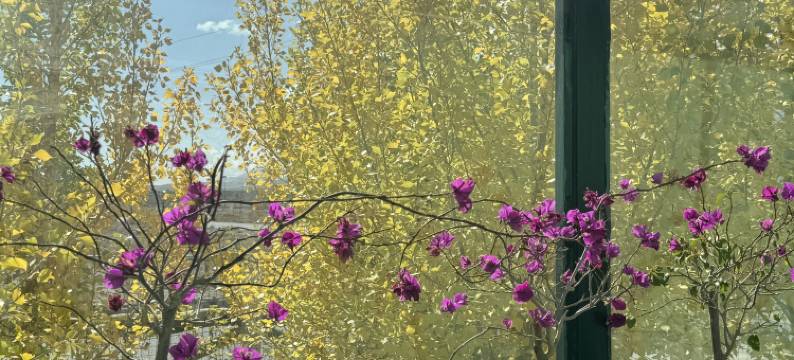 塔什库尔干客来乐民宿图片