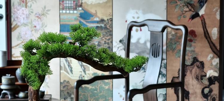 黄山九源民宿(黄山风景区北大门店)图片