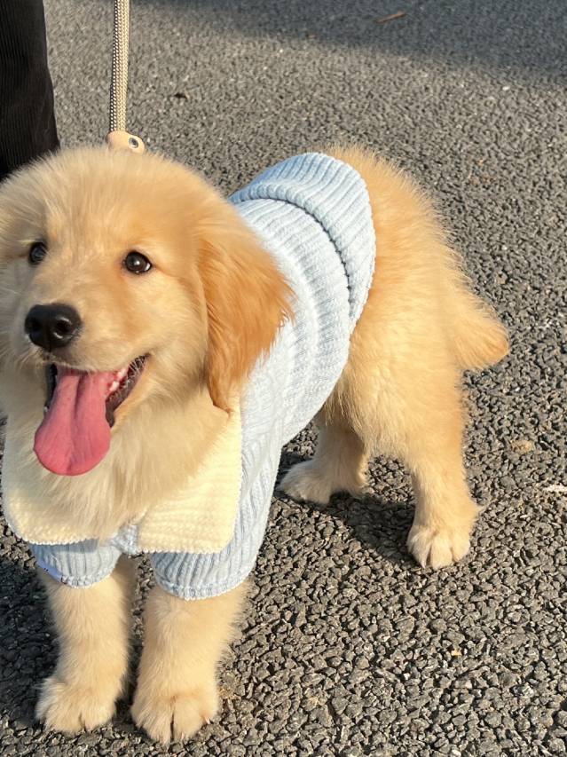 花筑奢·黄山苦株树故事民宿图片