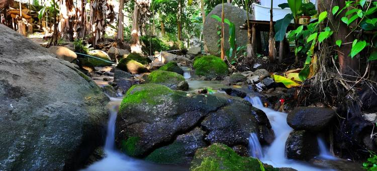 英格努寄宿家庭(Ing Nuea Homestay)图片