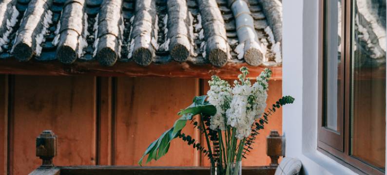 艾米与三叔的小院(北门大水车店)图片