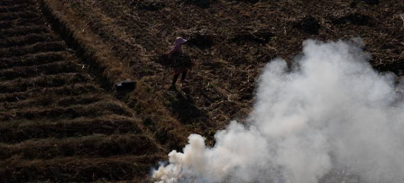剑川沙溪看山禾居民宿图片