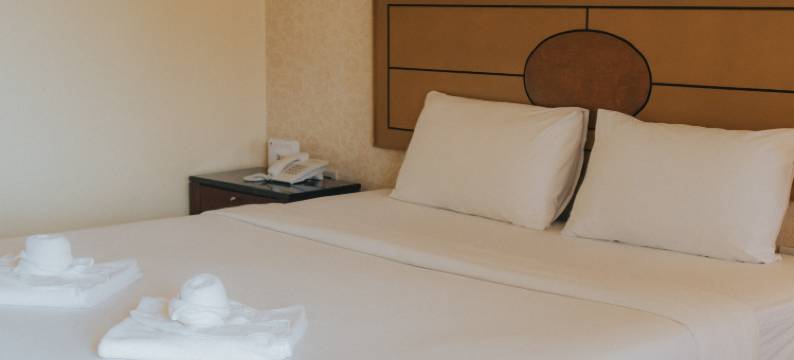 暖武里宫酒店(Nonthaburi Palace Hotel)图片