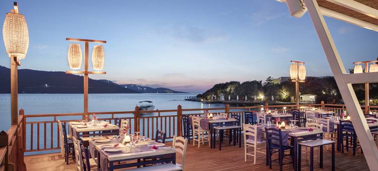 希尔顿逸林博德鲁姆伊希尔俱乐部超全包度假村(DoubleTree by Hilton Bodrum Isil Club All-Inclusive Resort)图片