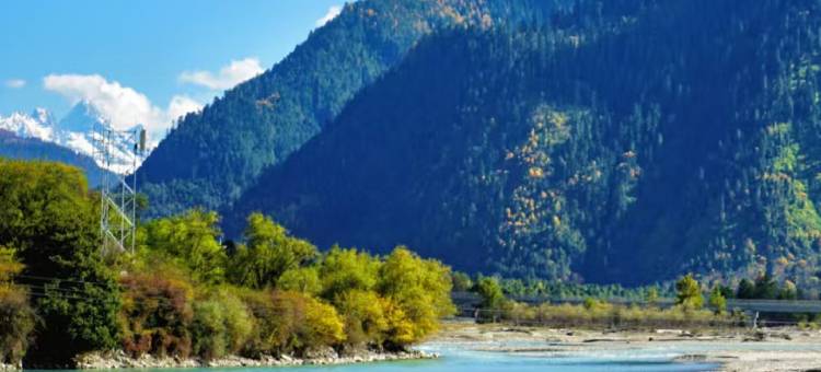 7天优品Premium酒店(林芝波密店)图片