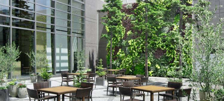 札幌市万枫酒店­­(Fairfield by Marriott Sapporo)图片