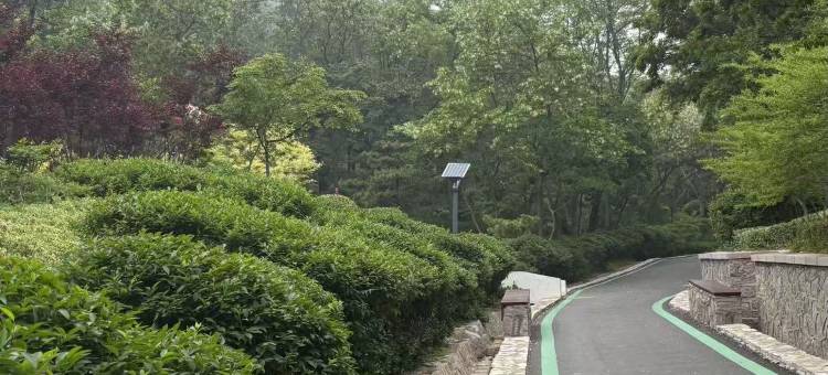 如家商旅酒店(青岛小麦岛青岛大学店)图片